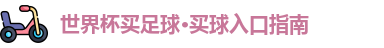 世界杯买足球·买球入口指南